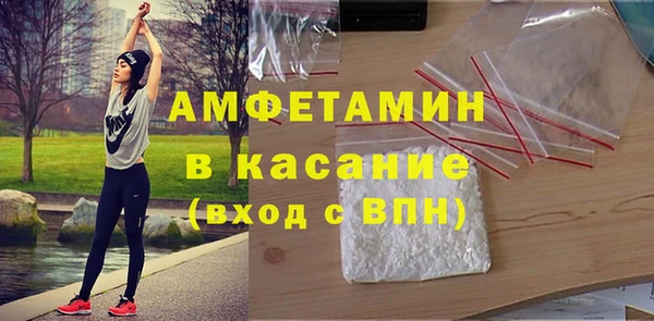 сатива Аркадак