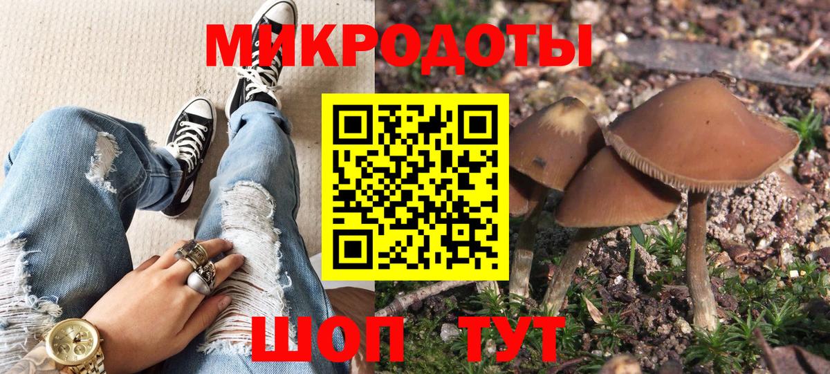Истра  где найти   Вход с VPN  Псилоцибиновые грибы GOLDEN TEACHER 