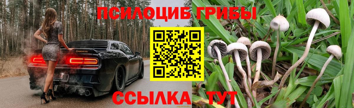 Псилоцибиновые грибы мицелий Истра